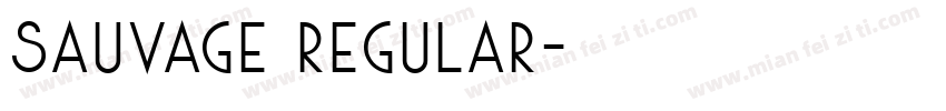 Sauvage Regular字体转换
